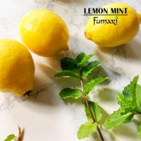 Табак Fumari Лимон с мятой (Lemon Mint), 100 грамм